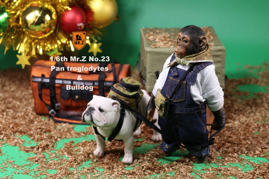 Chimpanzee and Bulldog Set