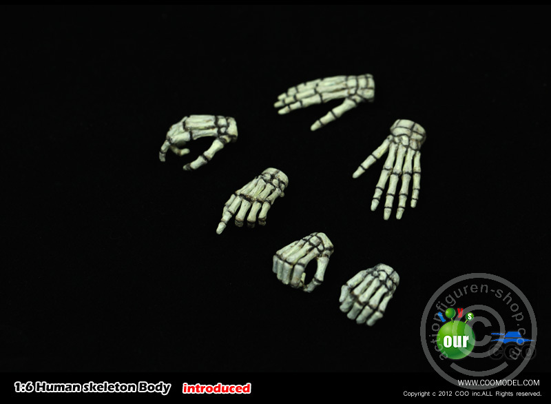 Skeleton Spear Soldier - Human Skeleton in 1:6