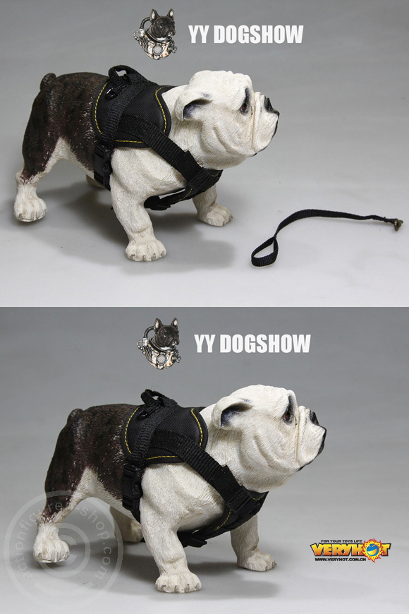 VH1045-09 Dog Show Set