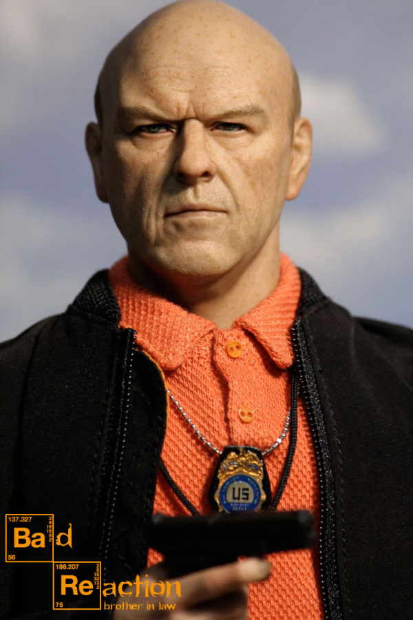 Hank Schrader - Brother in Law