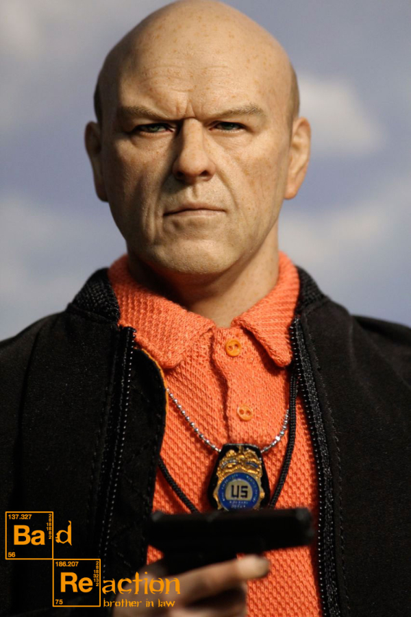 IMM012f-02A0pBtyqHeOvAb Hank Schrader - Brother in Law