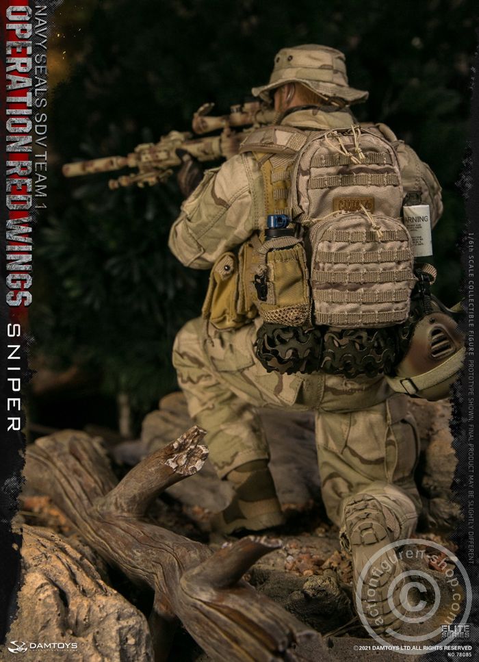 Operation Red Wings - NAVY SEALS SDV TEAM 1 - Sniper