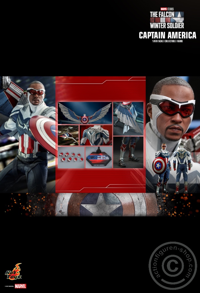 The Falcon and the Winter Soldier - Captain America - TMS040 The Falcon and the Winter Soldier - Captain America - TMS040