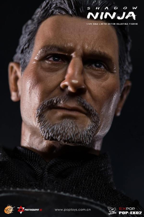 PTex02-19 Leader of Shadow Alliance - Master Ninja - Armor Ver.