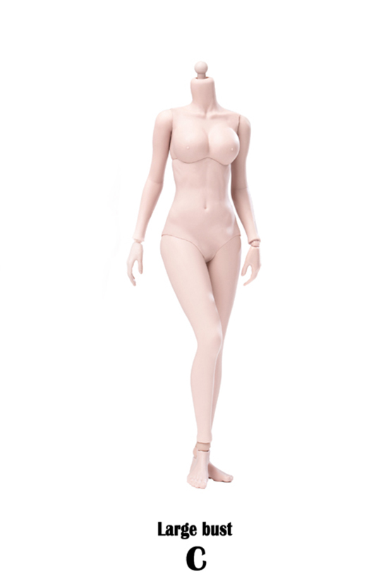 Super flexible semi seamless Female Body - Modified Ver. - Pale C