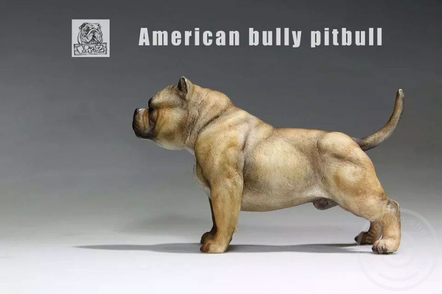 MRZ001-14 American Bully Dog - dark color