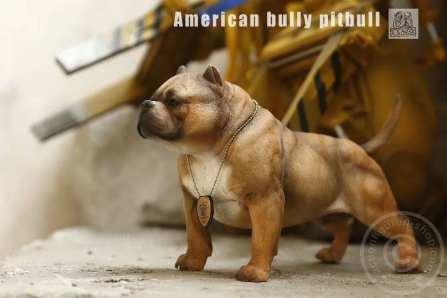 MRZ001-18 American Bully Dog - dark color