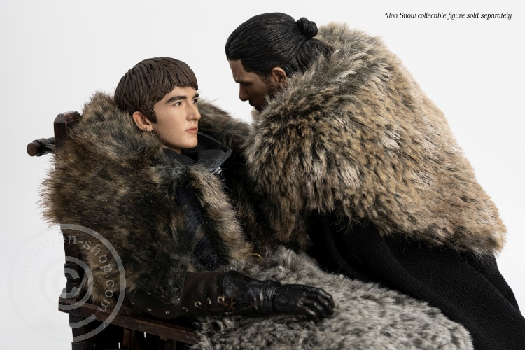Game of Thrones - Bran Stark