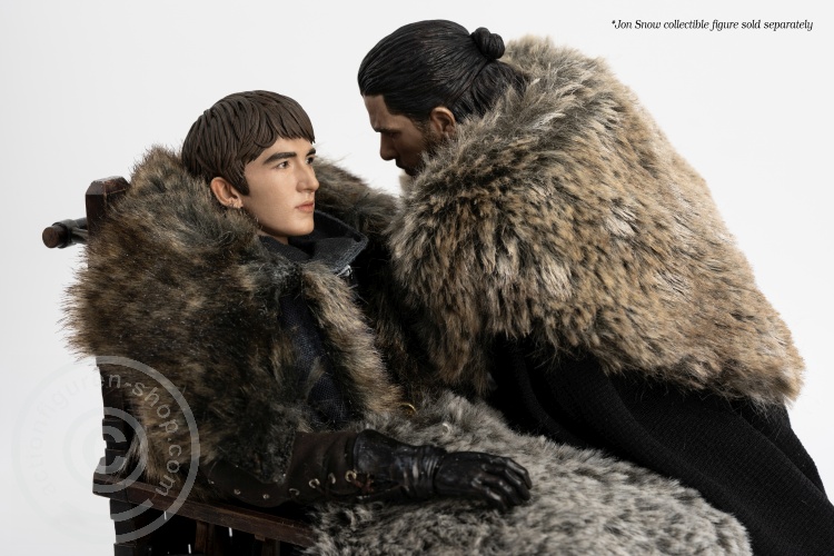 3A-TZ-GOT093-05 Game of Thrones - Bran Stark