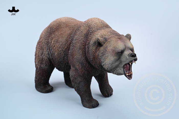 Brown Bear - roaring