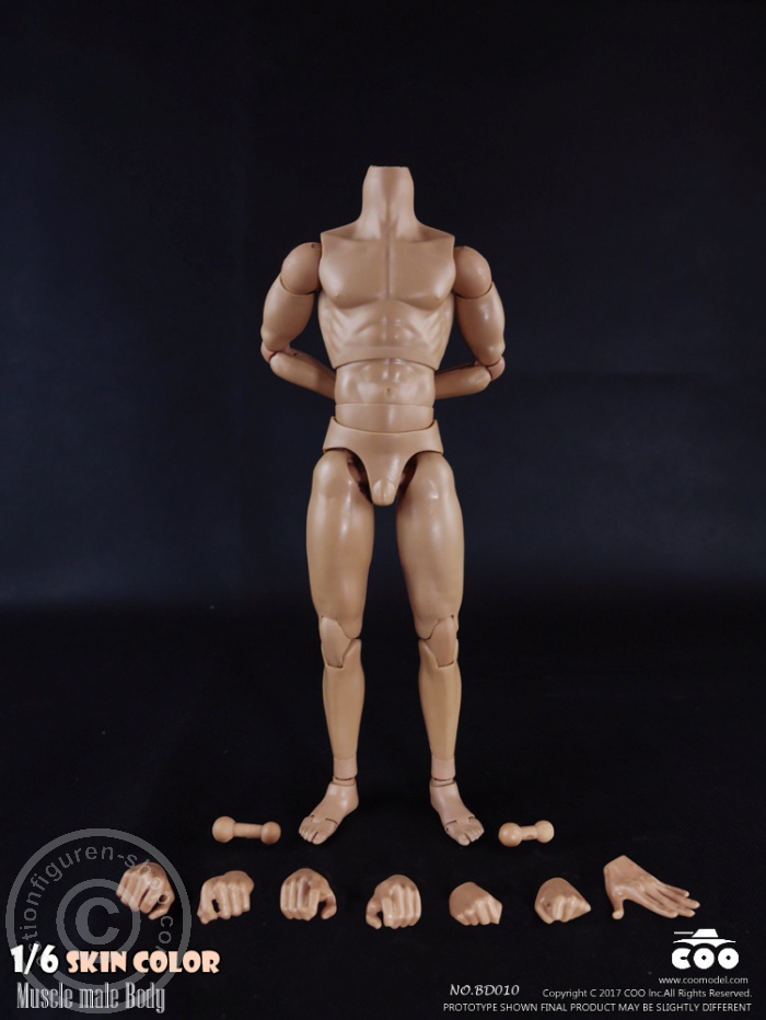 Male Body 2.0 - Muscular - 27cm