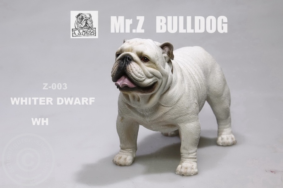 MRZ003-02 British Bulldog - Version 4