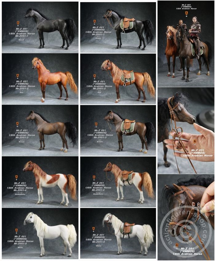 MRZ051-01ZKhqdv01prdRT Arabian Horse w/ full European Harness - black