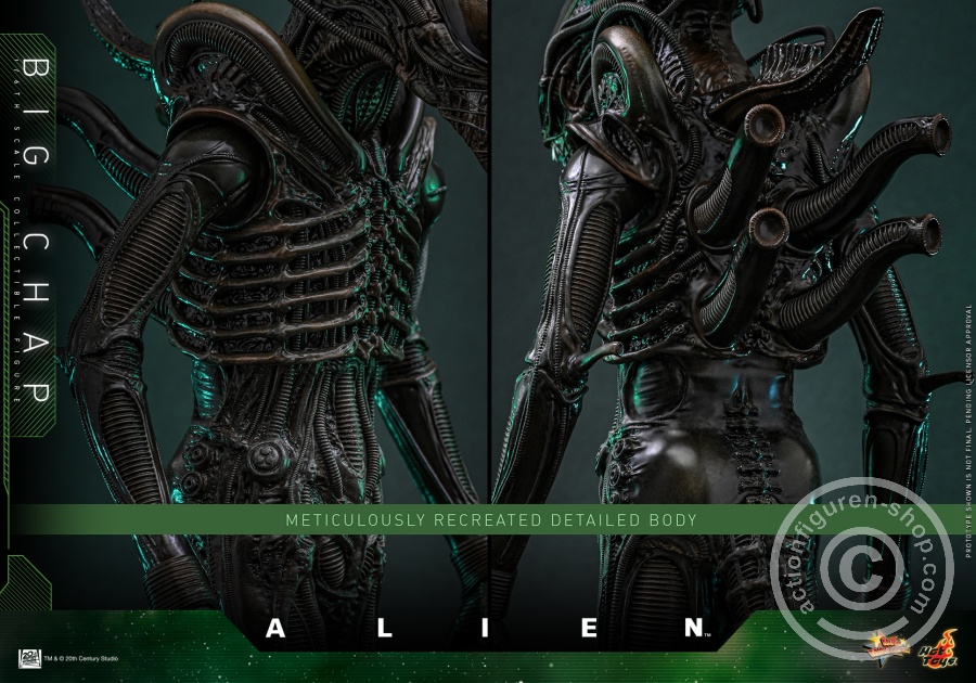 Hot Toys – MMS826 - Alien - 1/6th scale Big Chap Collectible Figure