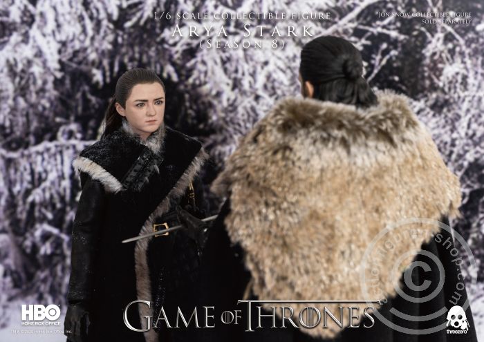 Game of Thrones - Arya Stark (Season 8)