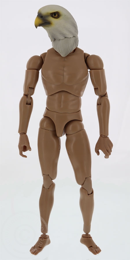 tc-m1007c-10FykeWgTE1874u Vogel Kopf für 1:6 Figuren