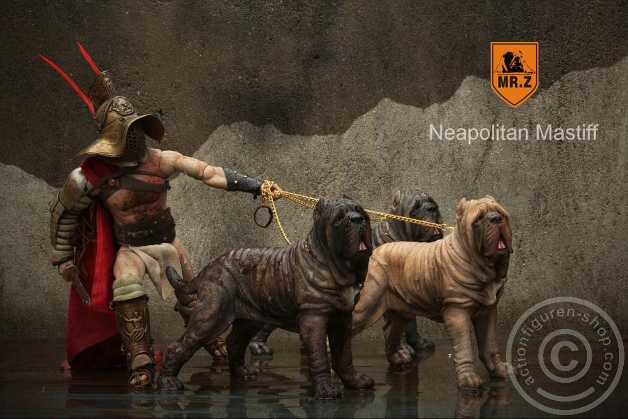 MRZ-NM-E Neapolitan Mastiff - tan