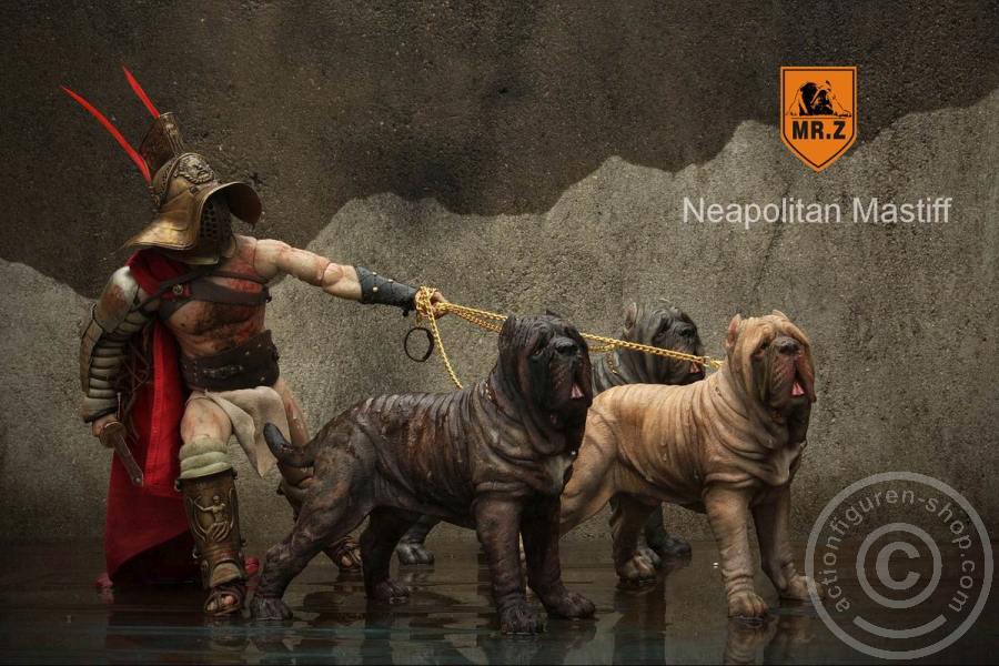 Neapolitan Mastiff - tan