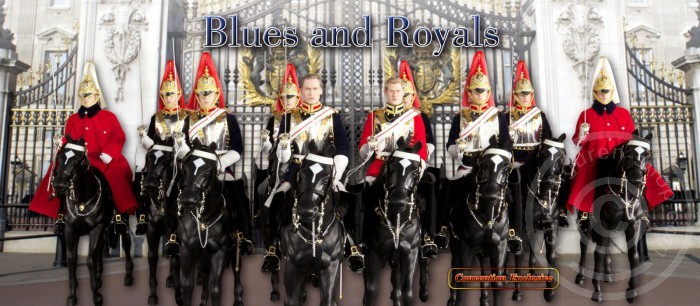Blues and Royals mit Pferd - Show Exclusive