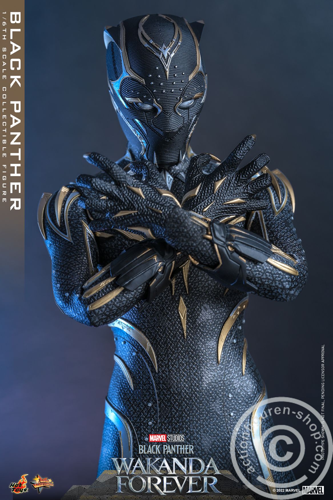 Black Panther: Wakanda Forever - Black Panther - MMS675