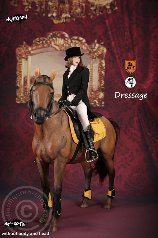 Dressage Set B