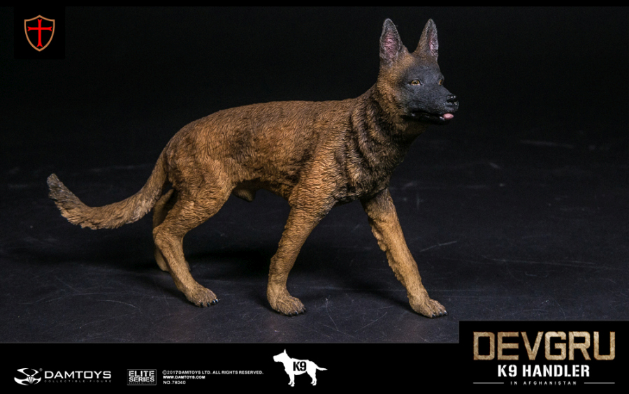 DA78040-20 DEVGRU K9-Handler in Afghanistan