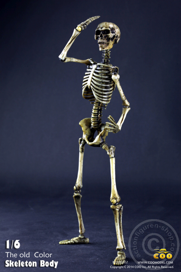 The Skeleton in 1:6 - Old Color
