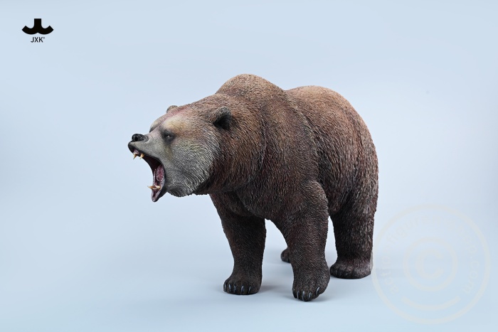 Brown Bear - roaring
