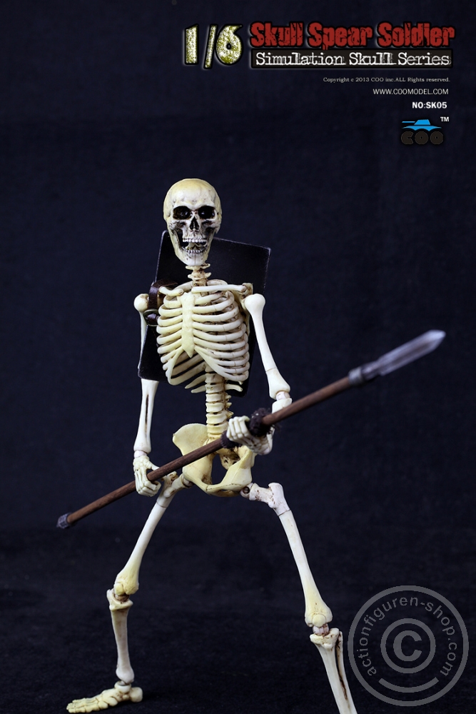 Skeleton Spear Soldier - Human Skeleton in 1:6