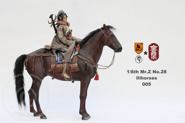 MRZ028-05-10 Ili Pferd - braun
