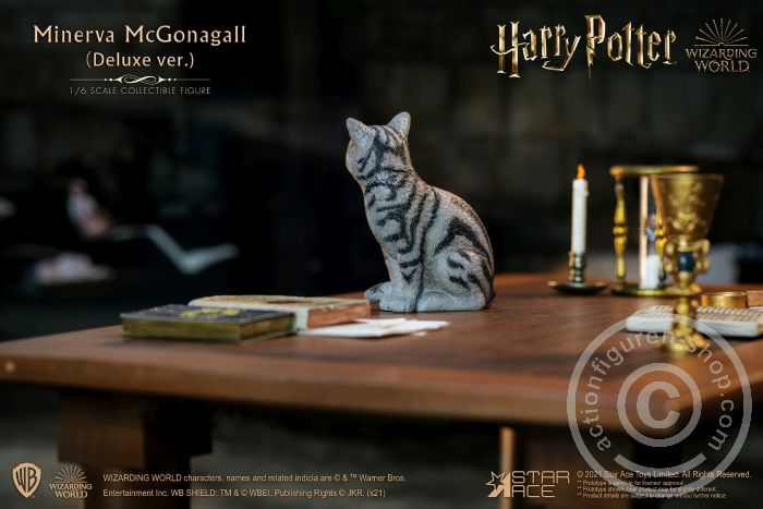 Minerva McGonagall - Desk only (Single pack)