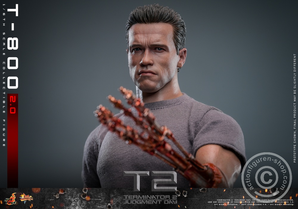 Terminator 2: Judgment Day - T-800 (2.0) - in 1/6 scale Terminator 2: Judgment Day - T-800 (2.0) - in 1/6 scale