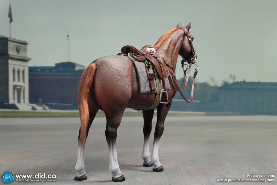 German WWII Brown War Horse (Standing) - in 1/6 scale