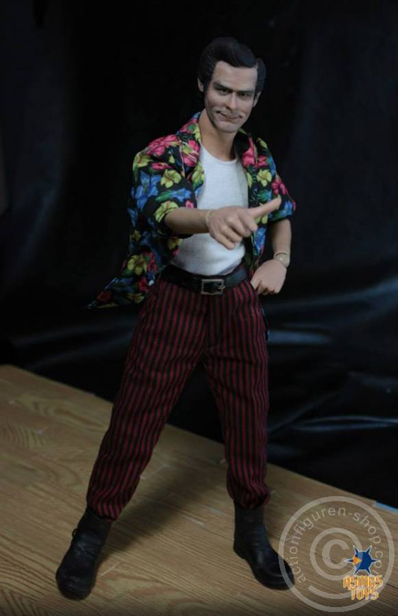 AST046-19 Ace the Pet Detective