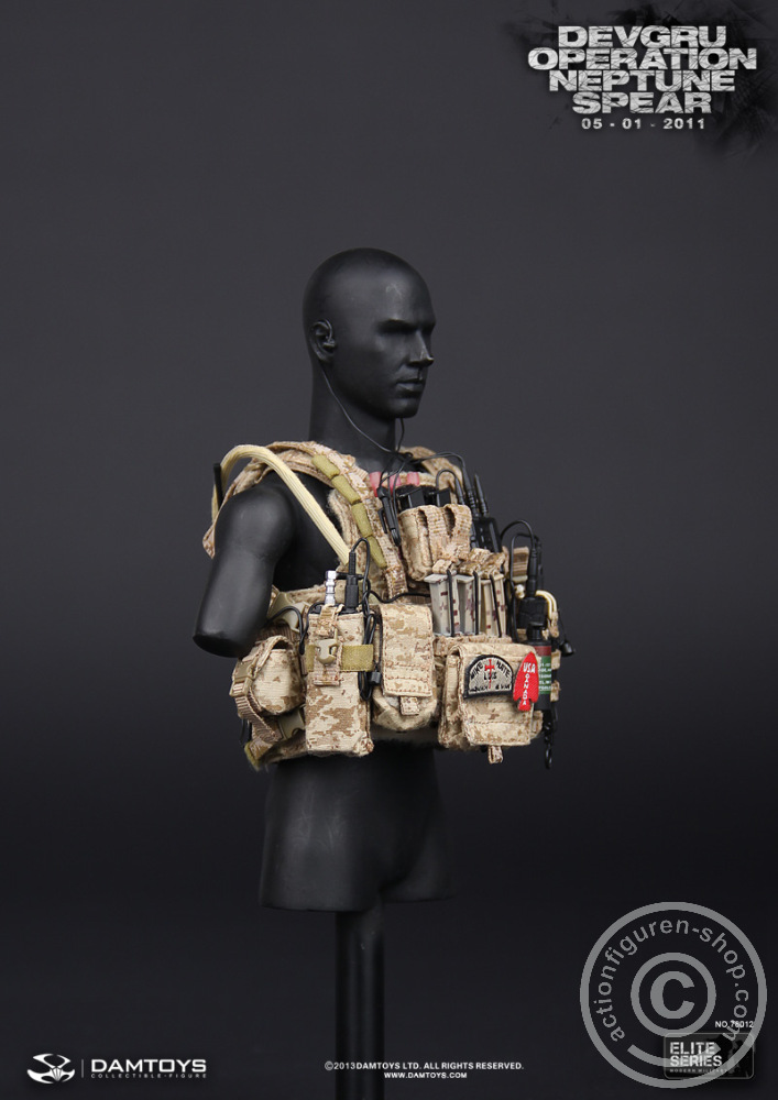 DA78012-45 DEVGRU Operation Neptune Spear