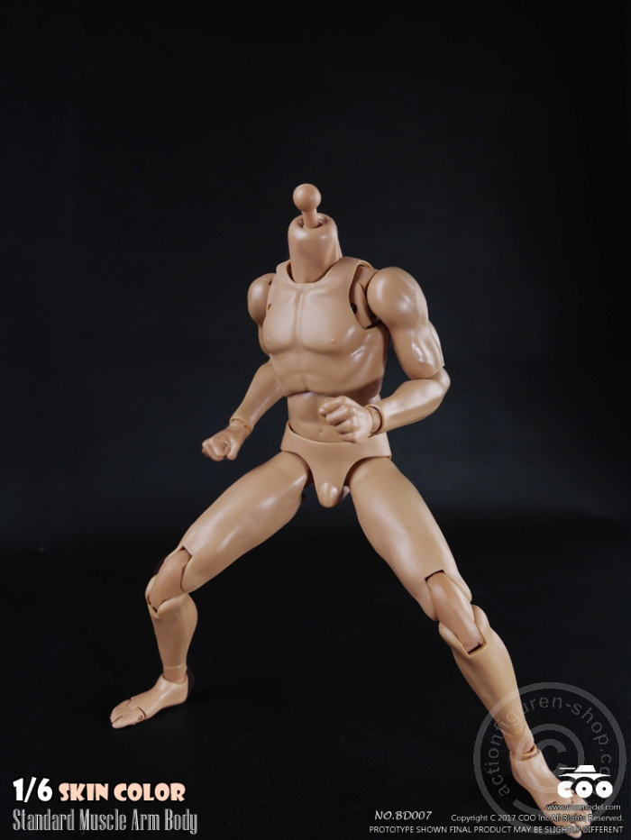 COOBD008-04 Male Body 2.0 - Muscular - 27cm