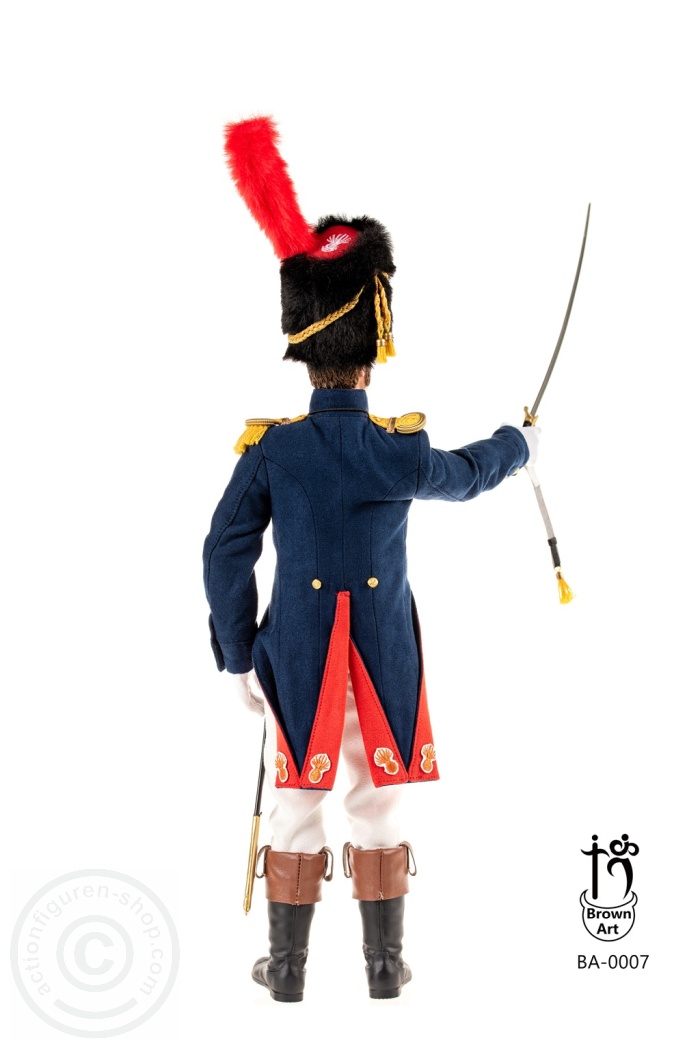 Napoleonic - Subaltern of The French Imperial Guard