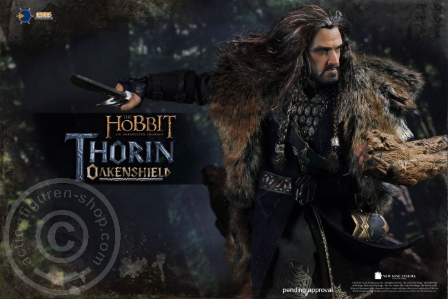 AST052-118XAKxKCNVn686 Thorin Eichenschild - Der Hobbit