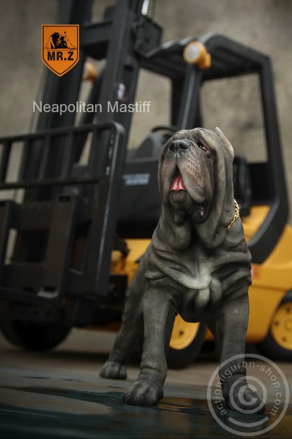 Neapolitan Mastiff - tan