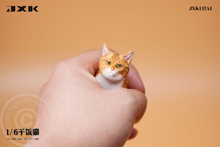 Cats That Eat Cat Food - A1 Cats That Eat Cat Food - A1