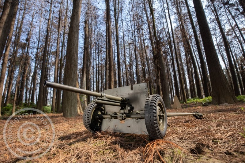 M3 37mm Anti-Tank-Gun - 1/6 scale M3 37mm Anti-Tank-Gun - 1/6 scale