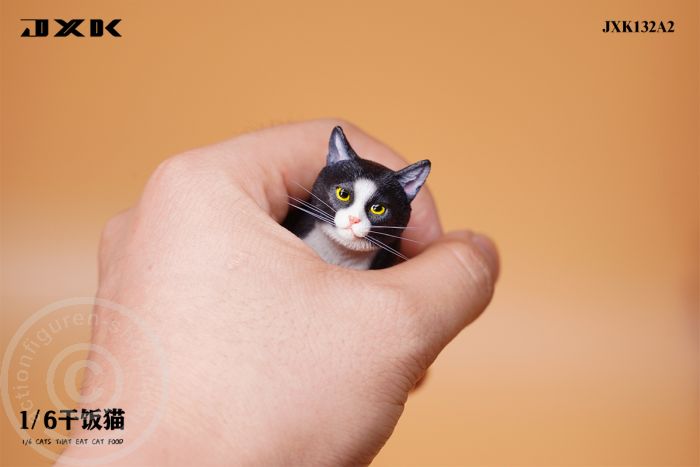 Cats That Eat Cat Food - A2 Cats That Eat Cat Food - A2