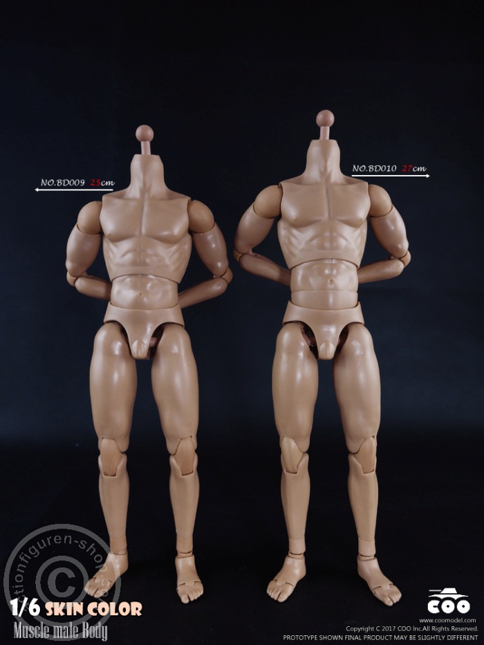 COOBD010-02 Male Body 2.0 - Muscular - 27cm