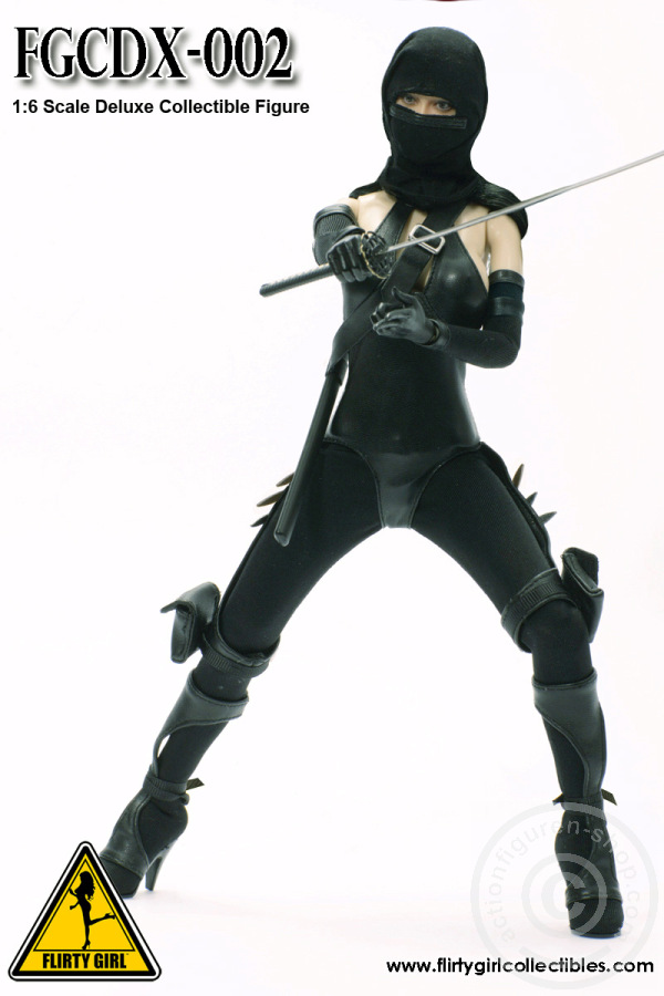 FGCDX02-02 Ninja Assassin