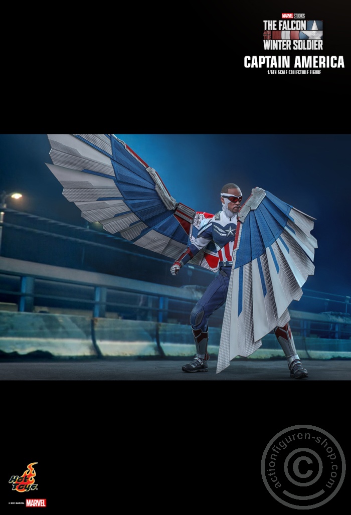 The Falcon and the Winter Soldier - Captain America - TMS040 The Falcon and the Winter Soldier - Captain America - TMS040