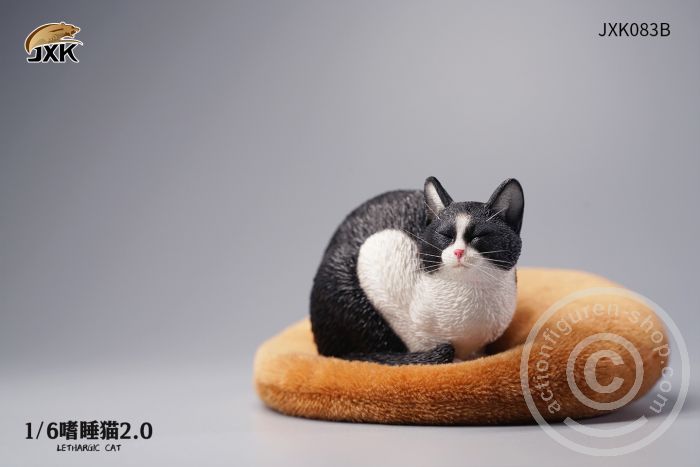 JxK083B-01 Lethargic Cat 2.0 - black/white