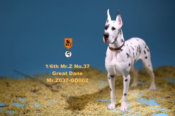 MRZGD037GD02-02 Deutsche Dogge - D