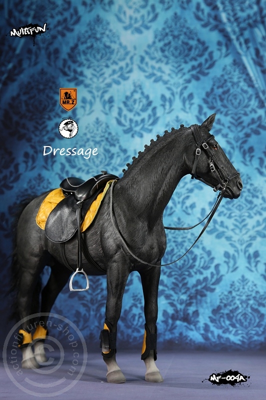 MRZ004A-05 Dressage Set A