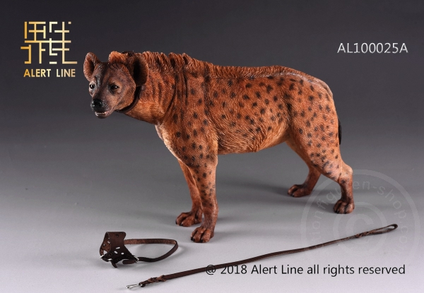 ALL1025AB-11 Crocuta - 1/6 scale