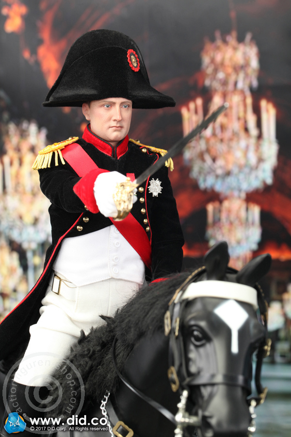 80122-17 Napoleon Bonaparte - Battle Version